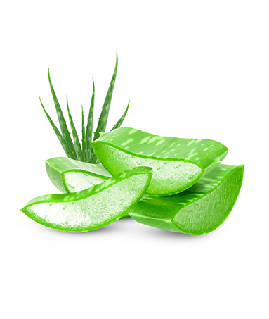 Aloe Leaf Extract