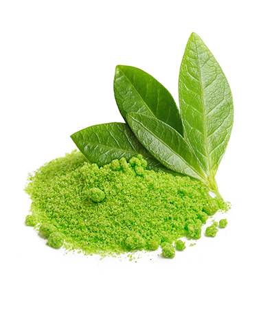 Green Tea Extract