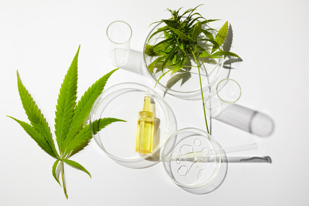 Cannabis skincare